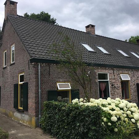Vakantiehuis In Het Voorhuis Dommelen Eksteriør billede