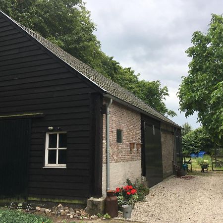 Vakantiehuis In Het Voorhuis Dommelen Eksteriør billede